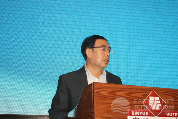 全國風力機械標準化技術委員會王建平秘書長