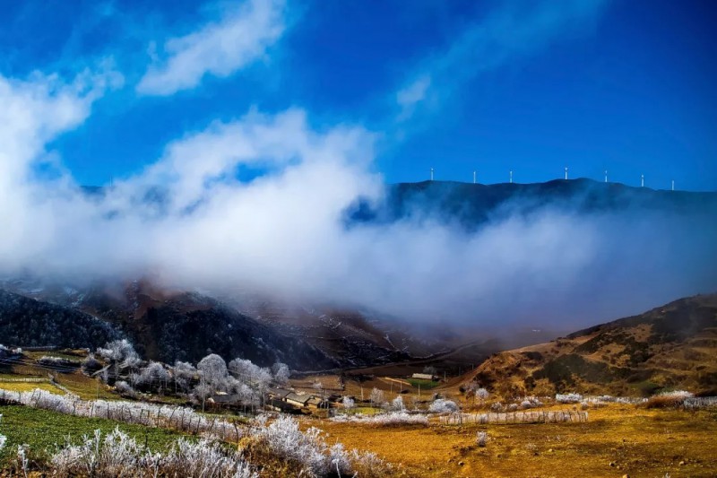 大涼山風車之家（組圖）、上海廣播電視臺（退休）、張爭鳴