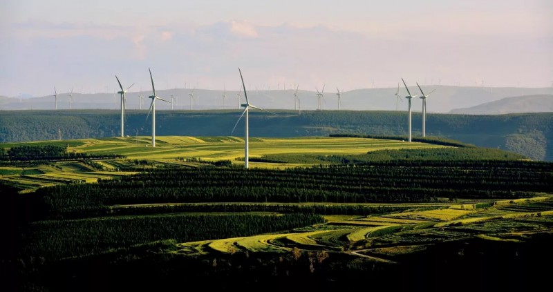 多姿多彩、國電華北電力有限公司、王迎春