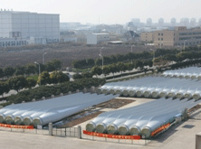 Aeolon風電葉片6.0MW-75M圖片1