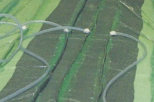 濕法成型樹(shù)脂圖片1